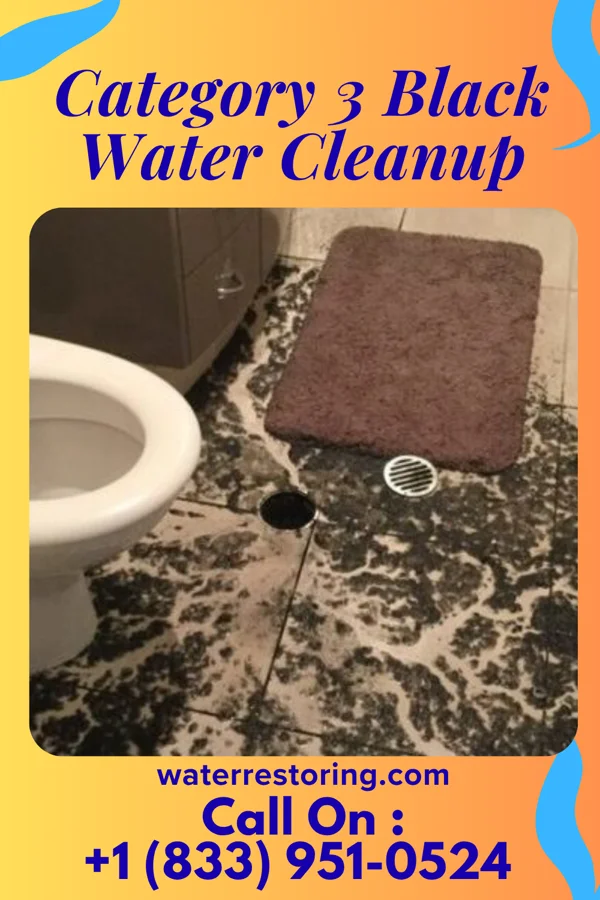 Category 3 Black Water Cleanup in West Jefferson, NC