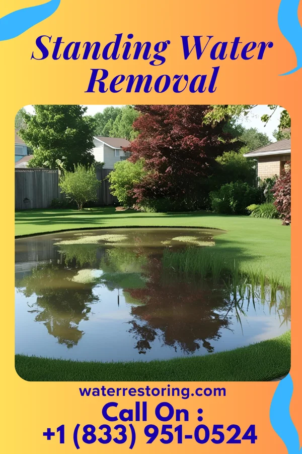 Standing Water Removal in West Jefferson, NC